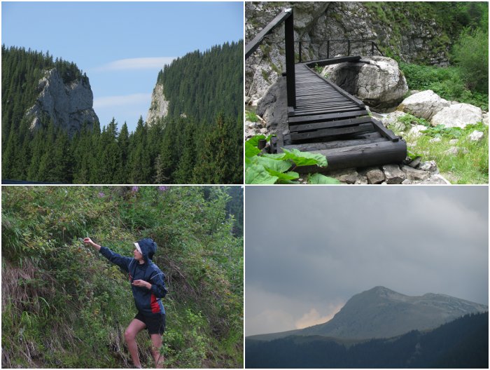 /JurnalBucegi2012/bucegi5.jpg