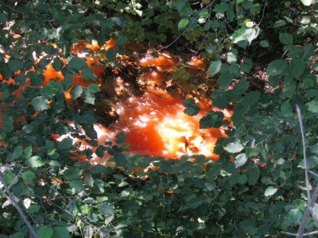 /Rosia/img_0794.jpg