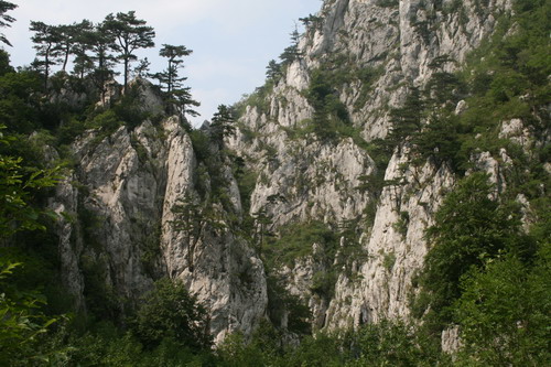 /Alpi/img_7433-j4.jpg