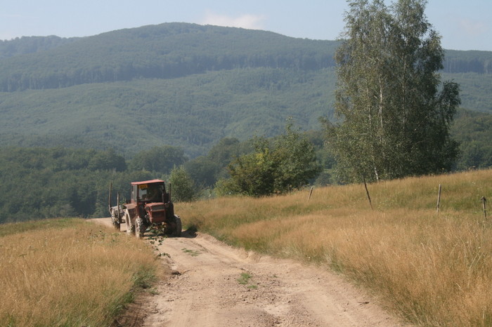 /Arjana1/img_7717.jpg