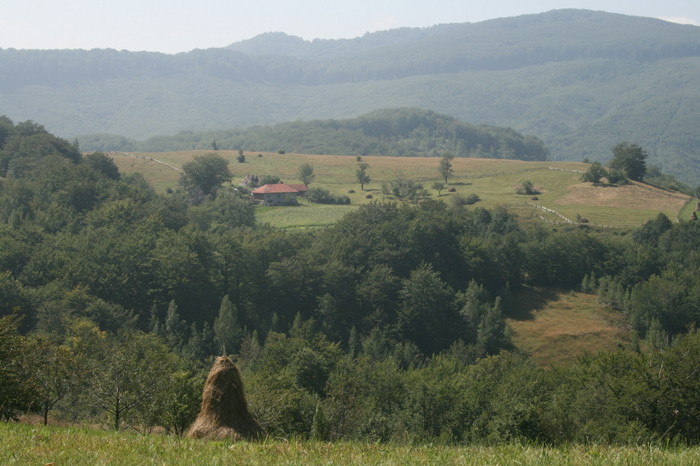 /Arjana1/img_7724.jpg