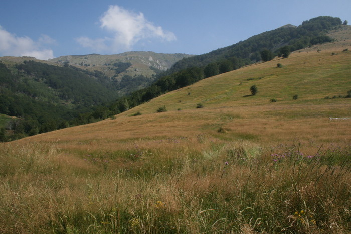 /Arjana1/img_7728.jpg
