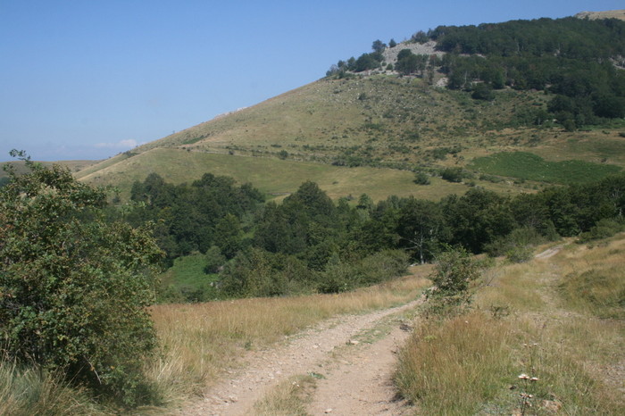 /Arjana1/img_7734.jpg