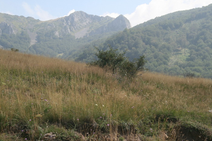 /Arjana1/img_7743.jpg