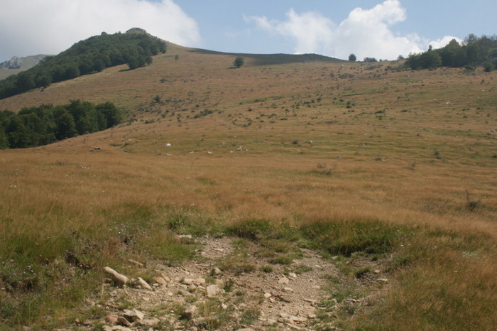/Arjana1/img_7747.jpg