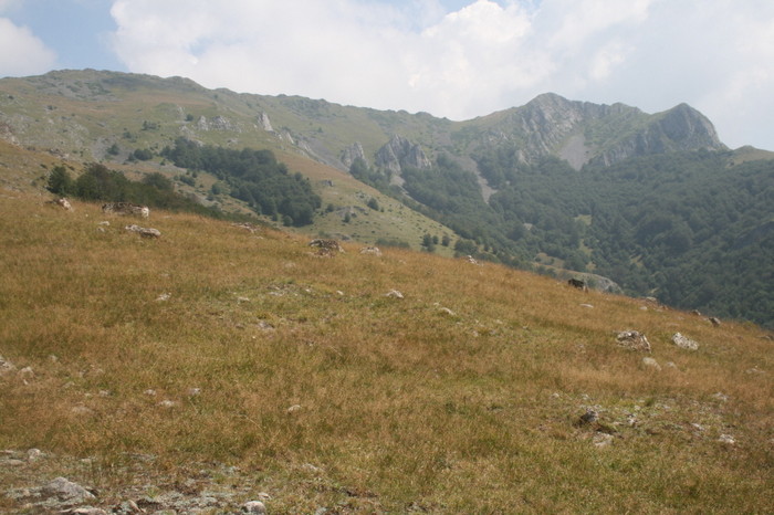 /Arjana1/img_7768.jpg