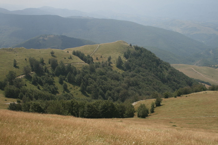 /Arjana1/img_7806.jpg