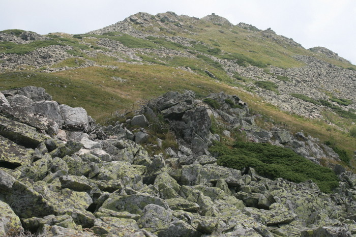 /Arjana1/img_7839.jpg