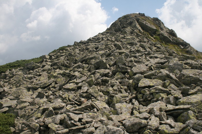 /Arjana1/img_7855.jpg