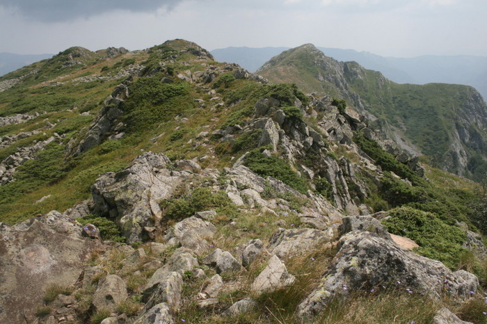 /Arjana1/img_7864.jpg