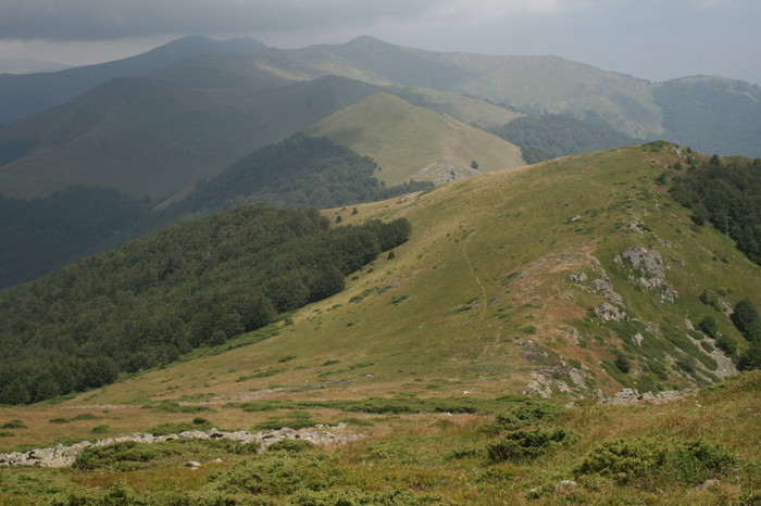 /Arjana1/img_7891.jpg