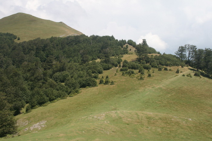 /Arjana1/img_7934.jpg