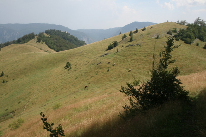 /Arjana1/img_7938.jpg