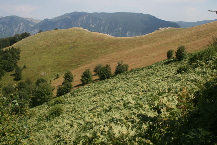 /Arjana1/img_7969.jpg