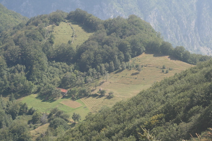 /Arjana1/img_7979.jpg