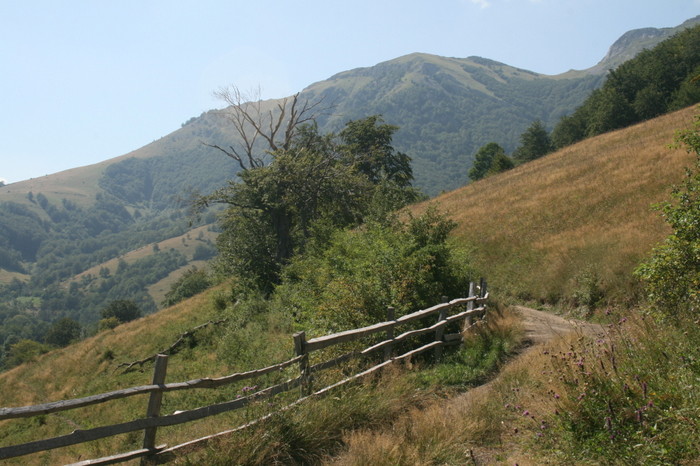 /Arjana1/img_7997.jpg