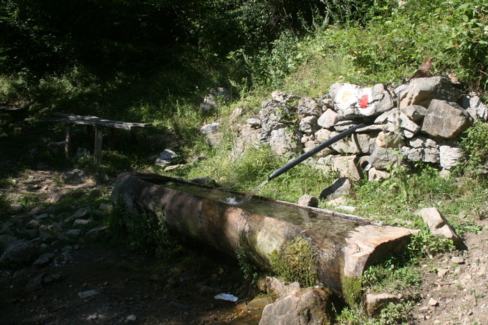 /Arjana1/img_8000.jpg
