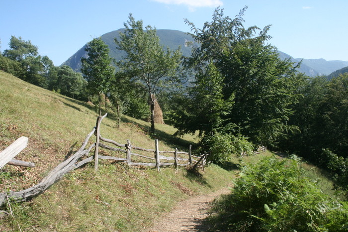 /Arjana1/img_8003.jpg