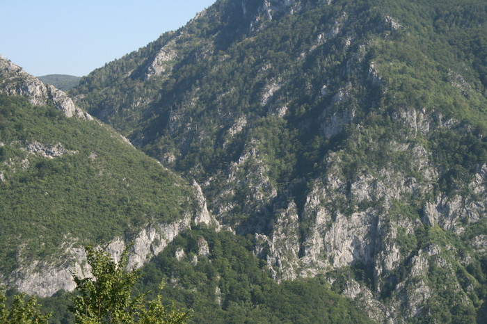 /Arjana1/img_8007.jpg