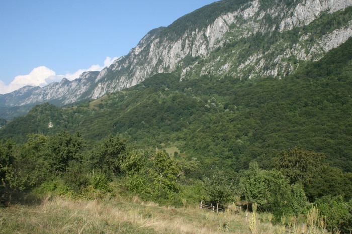 /Arjana1/img_8015.jpg
