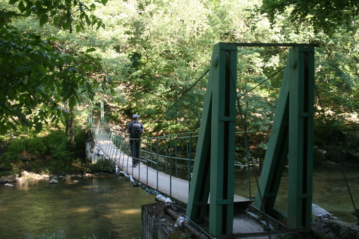 /Arjana1/img_8031.jpg
