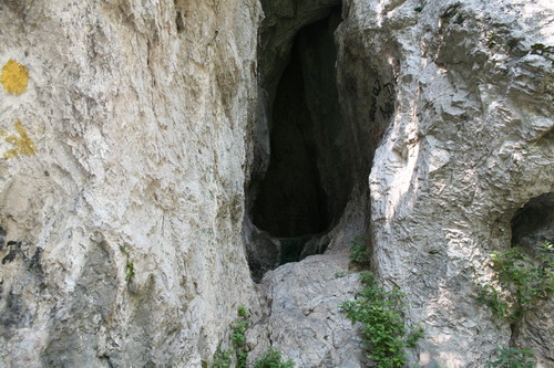Carpati.org