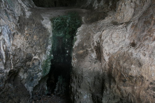 Carpati.org