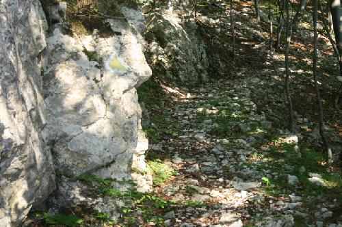 /Banita/img_7765-j2.jpg