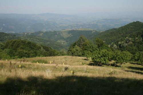 /Banita/img_7833-j2.jpg