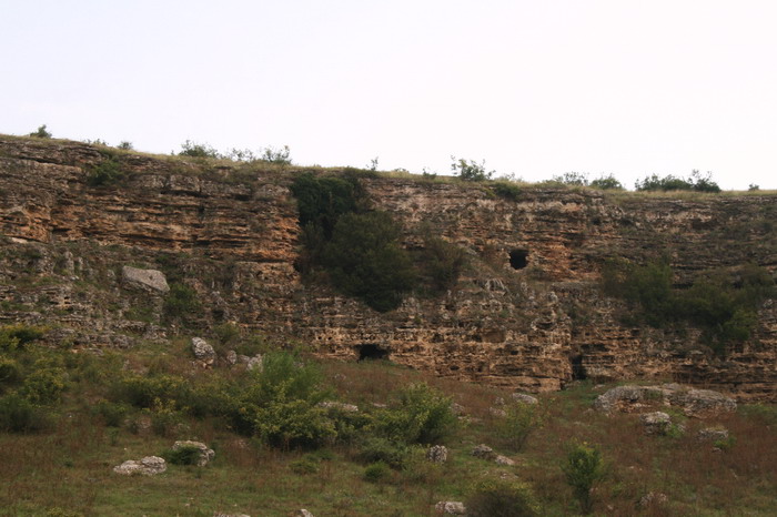 /Baspunar1/img_8266-j6.jpg