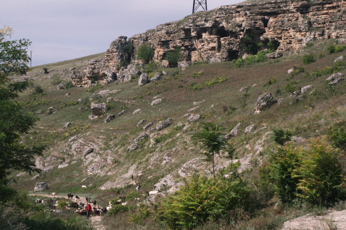 /Baspunar1/img_8331-j6.jpg
