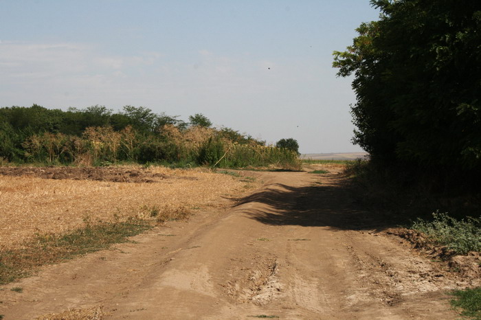 /Baspunar2/img_8508-j6.jpg