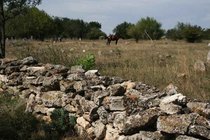 /Baspunar2/img_8511-j6.jpg