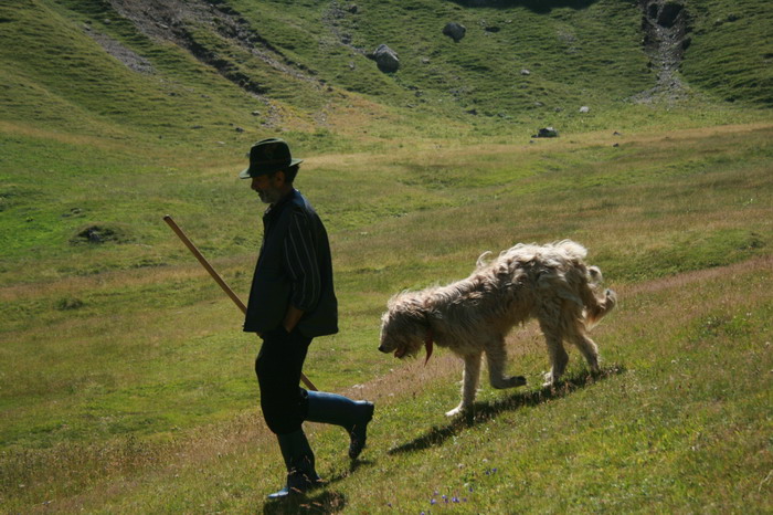 /Bucegi/img_4706-j1.jpg