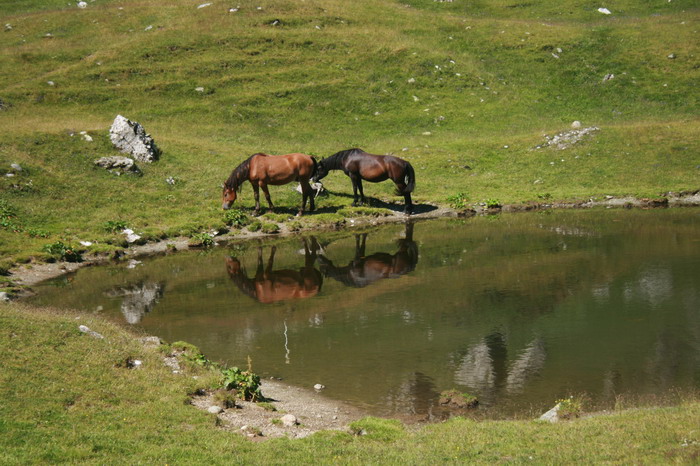 /Bucegi/img_4707-j1.jpg