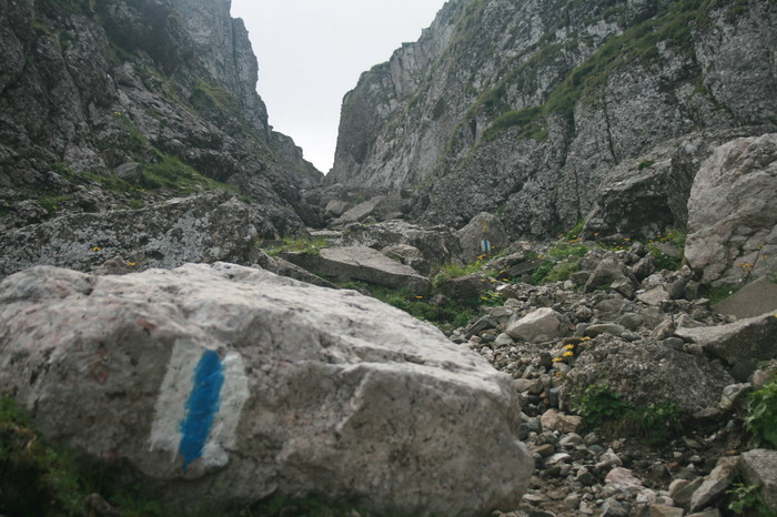 /Bucegi/img_4829-j1.jpg