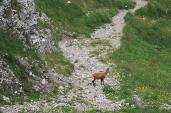 /Bucegi/img_4838-j1.jpg