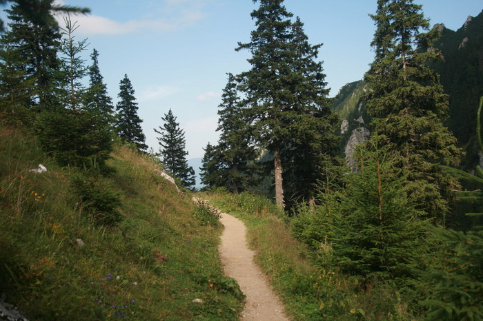 /Bucegi/img_5008-j1.jpg