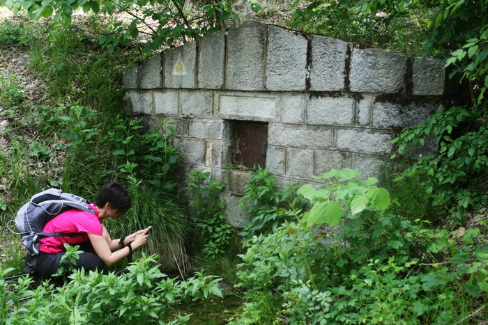 /Bujori/img_5065-jb.jpg