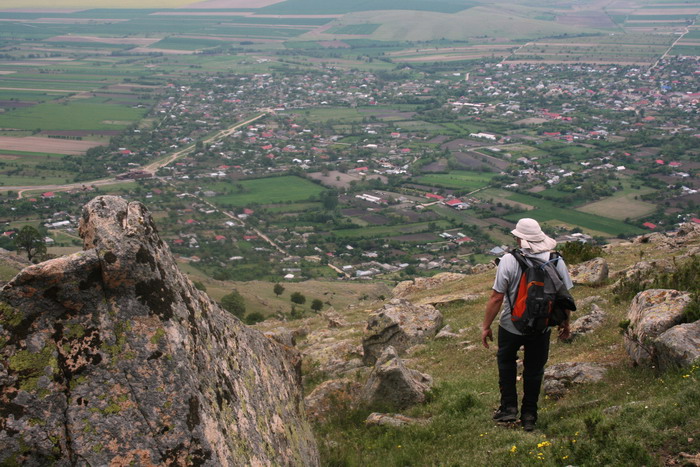 /Bujori/img_5133-jb.jpg