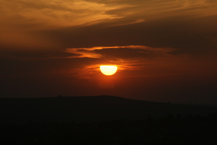 /Bujori/img_5148-jb.jpg