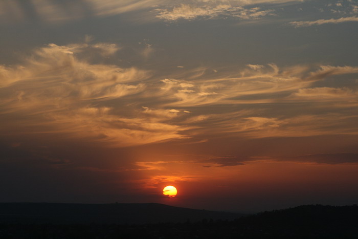 /Bujori/img_5149-jb.jpg