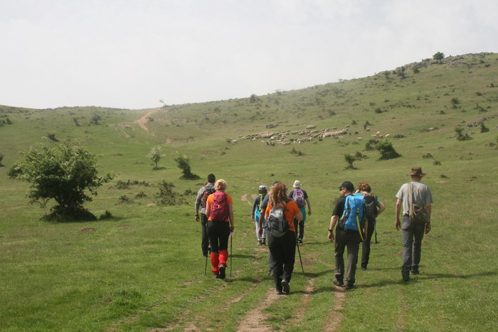 /Bujori/img_5161-jb.jpg
