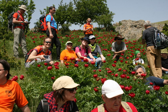/Bujori/img_5189-jb.jpg