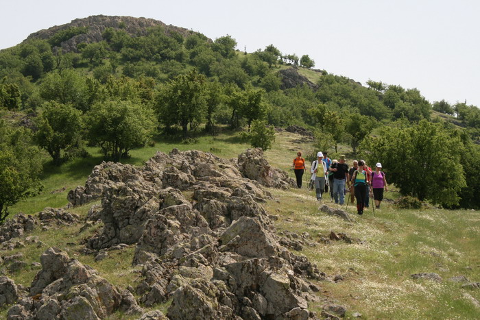 /Bujori/img_5218-jb.jpg
