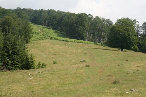/Cernasat/img_8058-j3.jpg