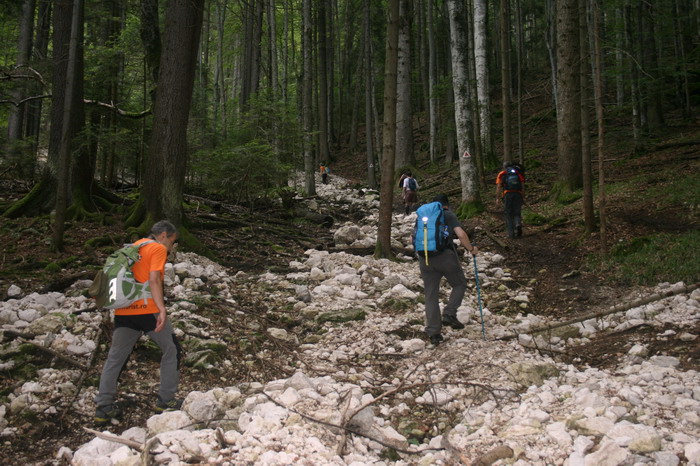 /Cioranga1/img_7616-j3.jpg