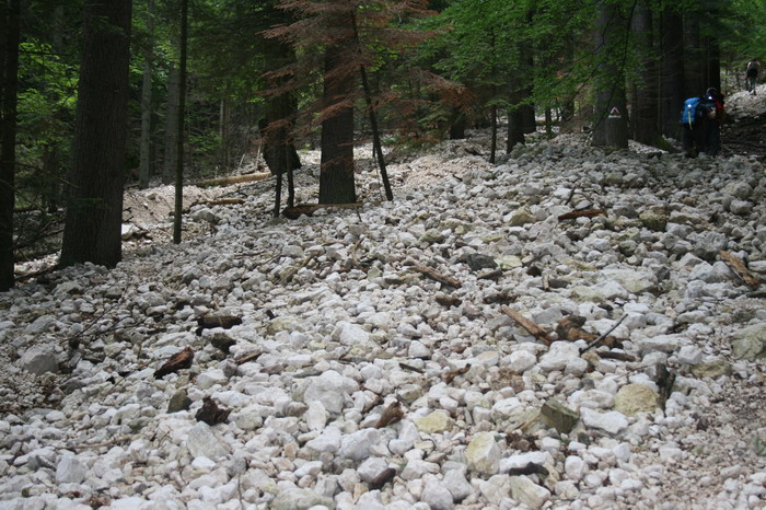 /Cioranga1/img_7619-j3.jpg