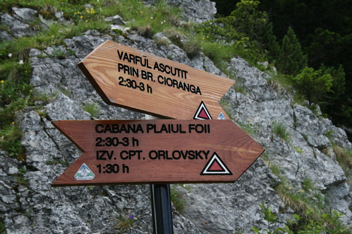 /Cioranga1/img_7659-j3.jpg
