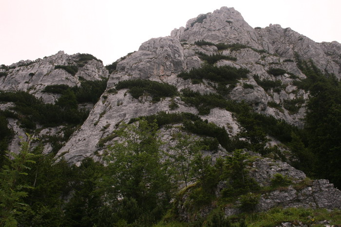 /Cioranga1/img_7660-j3.jpg